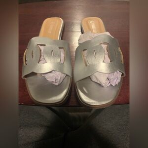 Charming Lady Silver slides Size 11